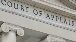 Appeals Court Rejects Strict North Carolina Voting Law